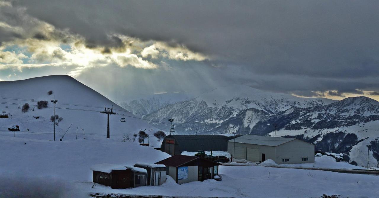Alpestrine - Vista Gudauri - Apartment N27 Eksteriør bilde